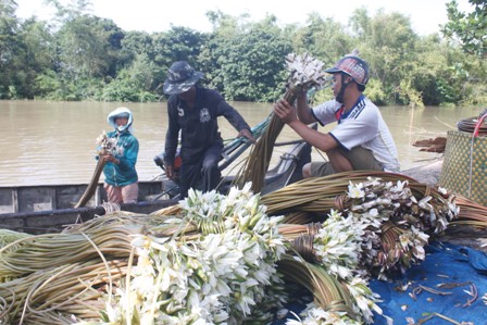 An Giang mùa nước lũ